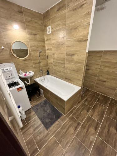 布拉迪斯拉发Free Wifi - Urban Oasis Rentals的带浴缸和盥洗盆的浴室