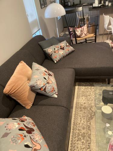 哈纳弗约德尔Kirjuvekkir8a的客厅配有两张带枕头的沙发
