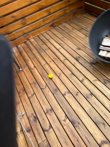哈纳弗约德尔Kirjuvekkir8a的木甲板上的黄色网球