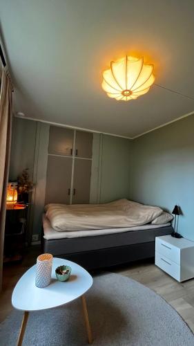 斯沃尔韦尔Strøken liten leilighet i Svolvær.的配有一张桌子和一张灯床的房间