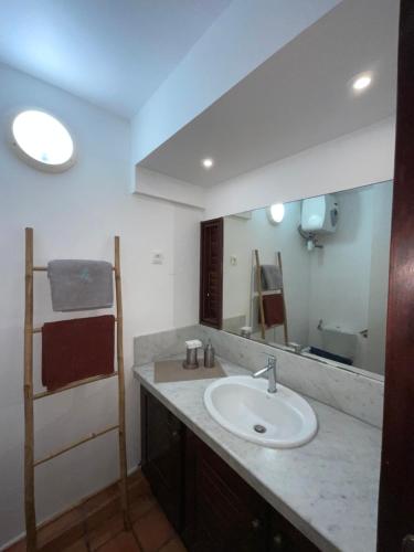 拉特里尼泰Ananas Premium的一间带水槽和大镜子的浴室