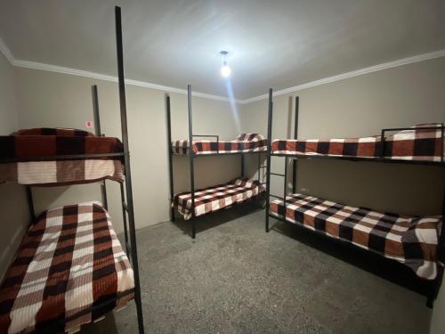 圣米格尔·德·图库玛Urban Jungle Hostel的一间光线充足的客房内的三张双层床
