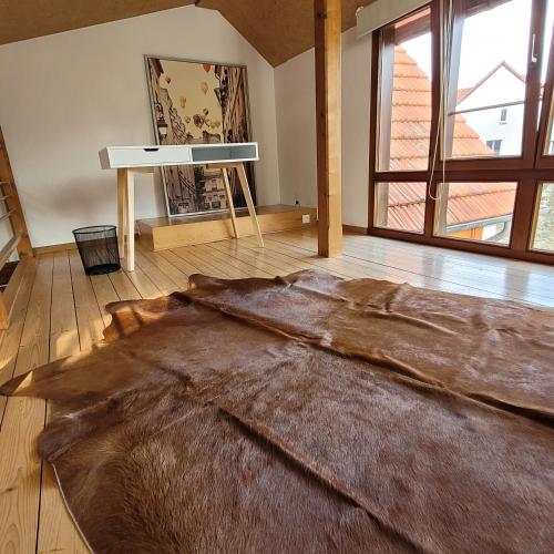 瓦尔堡Ferienwohnung an der Stadtmauer的客厅的地板上铺有大毛地毯