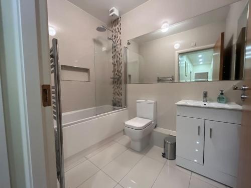 都柏林Coastal Dublin, 4 adult bed spaces+child max的浴室配有卫生间、盥洗盆和淋浴。