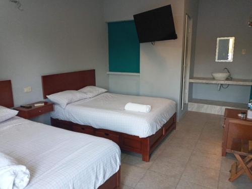 Isla AguadaHotel Albatros的酒店客房设有两张床和电视。