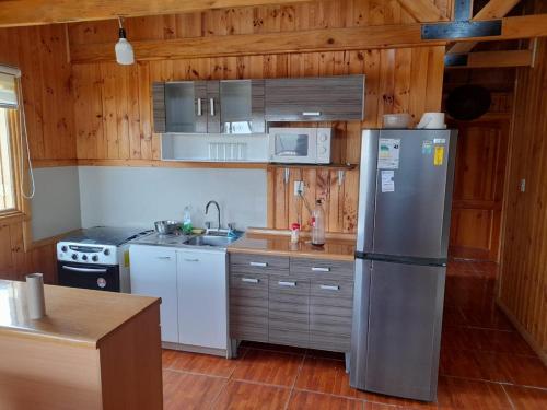 圣克鲁兹Cabaña del Vino的厨房配有不锈钢冰箱和木墙