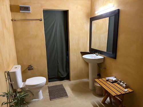 雅拉Ranakeliya Lodge - Yala的一间带卫生间、水槽和镜子的浴室