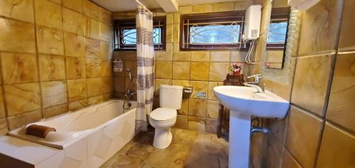 不拉士打宜Balinese Villa in Berastagi的浴室配有盥洗盆、卫生间和浴缸。