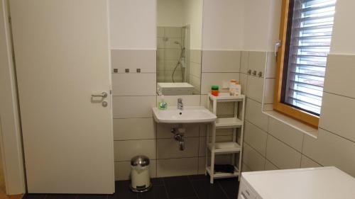OslipFerienwohnung Knipp的一间带水槽和镜子的浴室