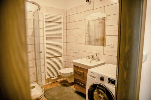 赫拉德茨 - 克拉洛韦Podkrovní byt na Velkém náměstí s Wi-Fi zdarma的浴室配有卫生间水槽和洗衣机。