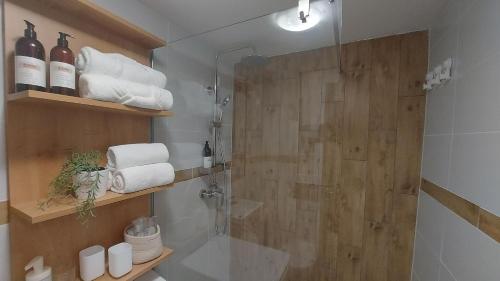 茹帕尼亚Studio apartman Iskra, self check IN-OUT的带淋浴和玻璃淋浴间的浴室