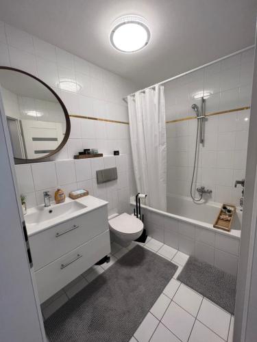 格尔斯托芬Moderne Galerie-Wohnung! Zentral-A8-B17 WIFI的一间带水槽、卫生间和淋浴的浴室
