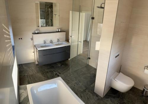 德累斯顿Luxury/Urban Penthouse的一间带水槽、淋浴和卫生间的浴室