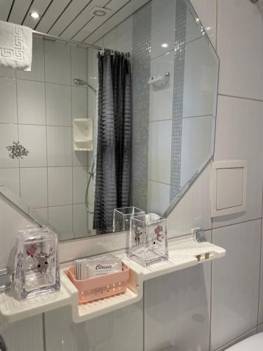 派尔努格林别墅酒店的一间带水槽和镜子的浴室