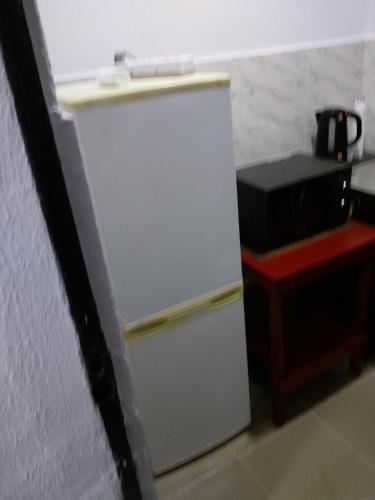 拉各斯Chinaka guest house的厨房里配有白色冰箱,旁边是微波炉