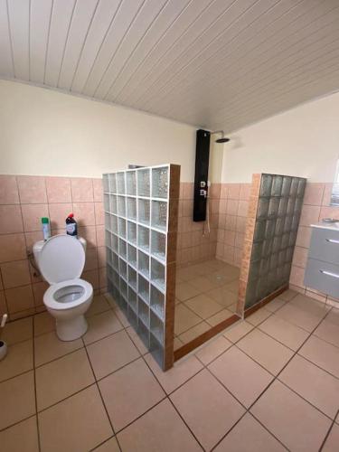 圣若瑟Ti kaz Tata du sud Sauvage的一间带卫生间和淋浴间的浴室