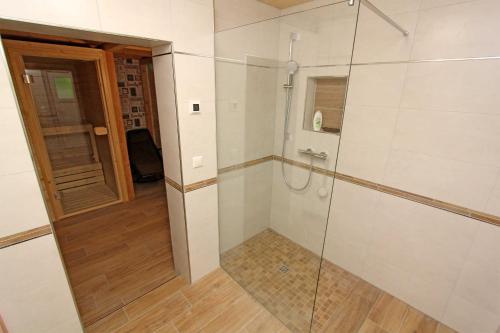 马尔肖Ferienwohnungen Malchow SEE 10010的带淋浴的浴室和玻璃门