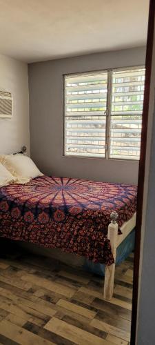 库莱布拉Casa LOLO on hills of Culebra的一间卧室设有一张床和两个窗户。