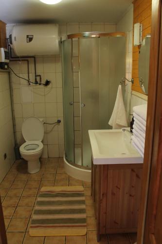 巴利格鲁德Domek Wypoczynkowy OSTOJA的带淋浴、卫生间和盥洗盆的浴室