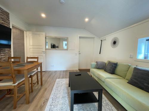 法伦2 bedroom apartment in Falun - 2km from centrum的客厅配有绿色沙发和桌子