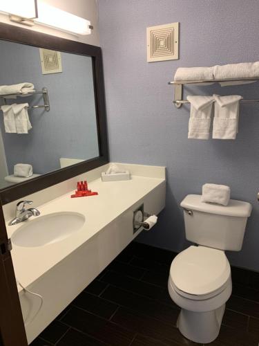 奥尔巴尼Albany Airport Inn的一间带水槽、卫生间和镜子的浴室