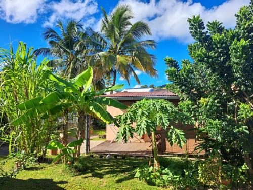 莱特鲁瓦西莱Studio Perle de Zanzibar Trois-Ilets的前面有棕榈树的房子