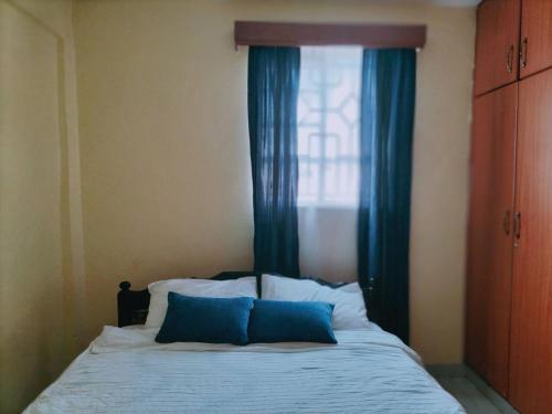 KakamegaArunga's Homely Kakamega Stay的一间卧室配有一张带蓝色窗帘的床和一扇窗户