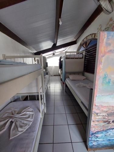 贝洛奥里藏特Hostel BH的带两张双层床和绘画的房间