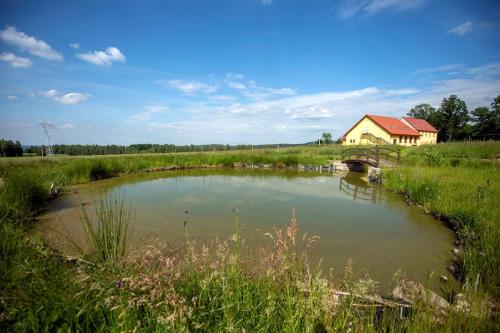 莱希纳Dom Na Leśnej Górze的田野上的池塘,有桥和建筑物