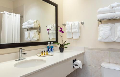 休斯顿贝斯特韦斯特PLUS市区套房酒店的一间带水槽、镜子和卫生间的浴室