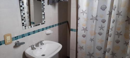 圣玛利亚Río de Chocolate的一间带水槽和淋浴帘的浴室
