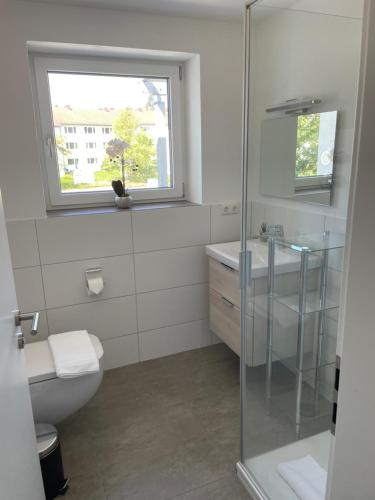 安贝格AM Fleurystr, ALL NEW, komfortabel, ZENTRAL in Amberg!!!的一间带卫生间、水槽和窗户的浴室