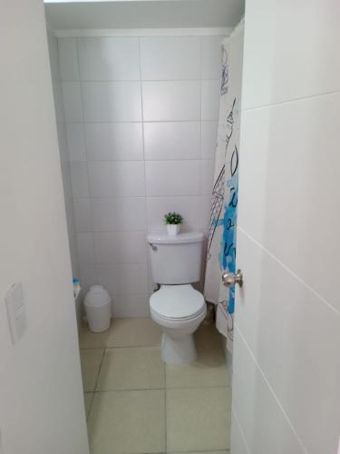 圣地亚哥santiago centro的浴室设有卫生间,上面有植物