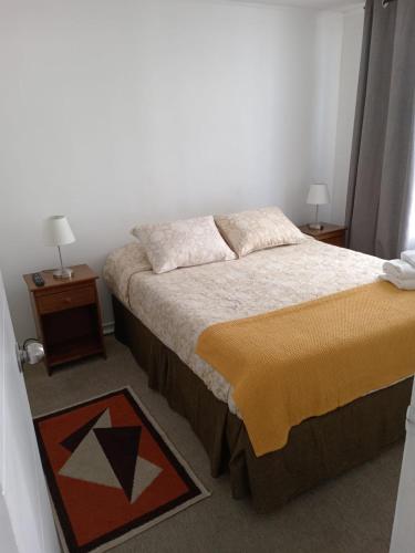 圣地亚哥santiago centro的一间小卧室,配有床和2个床头柜