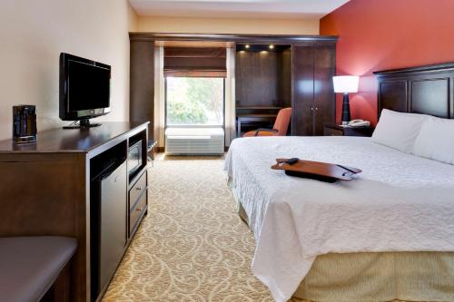 盖茨堡葛底斯堡汉普顿酒店的配有一张床和一台平面电视的酒店客房