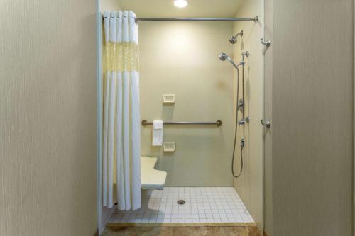 奥基乔比奥基乔比奥基乔比湖汉普顿酒店的带淋浴帘和卫生间的浴室