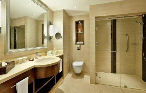 亚历山大Hilton Alexandria King's Ranch Hotel的浴室配有卫生间、盥洗盆和淋浴。