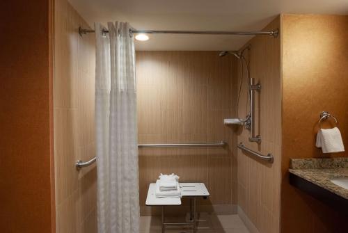 克利夫兰DoubleTree by Hilton Hotel Cleveland Downtown - Lakeside的浴室配有淋浴帘和盥洗盆。