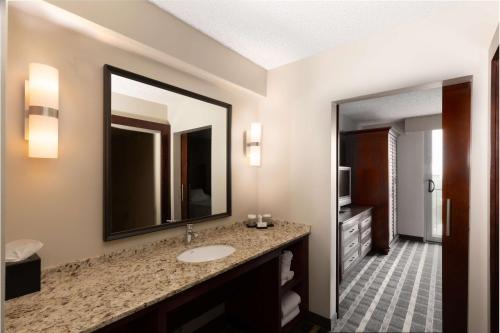 伯林格姆旧金山机场海滨希尔顿合博套房酒店的一间带水槽和镜子的浴室
