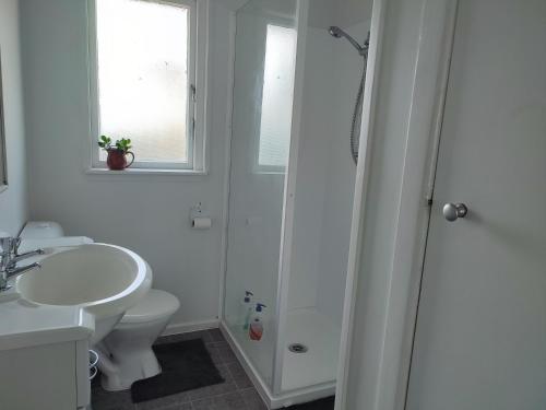 汉密尔顿Nesting In Hamilton East的浴室配有卫生间、盥洗盆和淋浴。