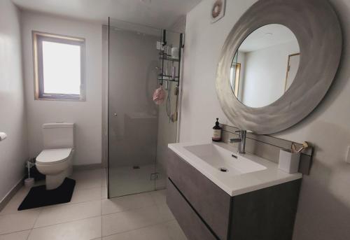 Primrose SandsPrimrose Seaside Healing Retreat的一间带水槽、镜子和卫生间的浴室