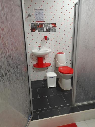 El BordoAlojamiento Panamericano San Miguel的浴室配有盥洗盆、卫生间和盥洗盆。