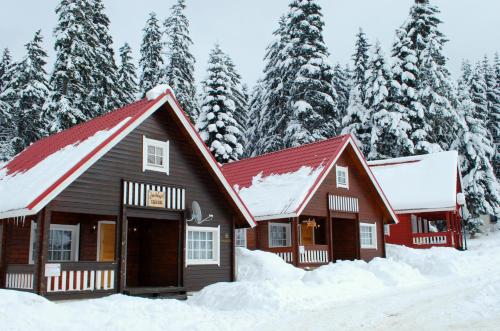 波罗维茨Alpine ski chalet Borovets with sauna的雪中小屋,有雪覆盖的树木