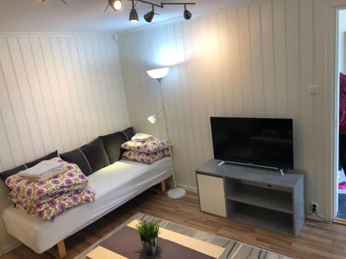 Leilighet 1 og 2 - Mandal, Norges sørligste kommune的带沙发和平面电视的客厅