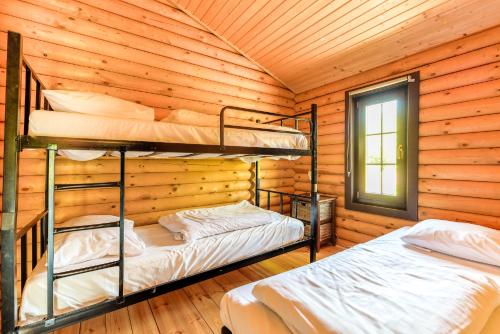 克拉亨堡Recreatiepark de Voorst的小木屋设有两张双层床,配有窗户