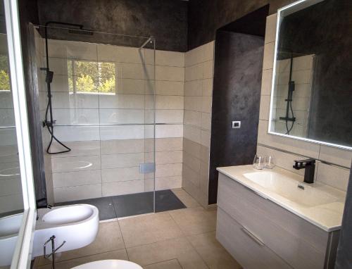 伊夫雷亚Le camere del Cappello Verde的带淋浴、卫生间和盥洗盆的浴室
