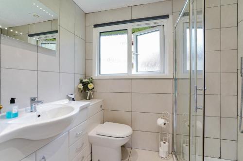 Saint TudyCornish Holiday - 91 Hengar Manor的浴室配有卫生间、盥洗盆和淋浴。