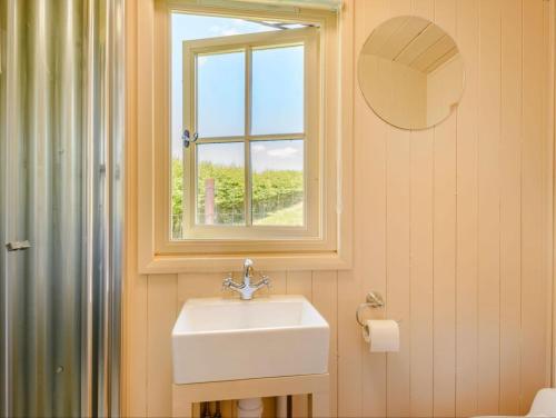 Hot Tub Retreat - Hartley Wine Estate的一间带水槽和窗户的浴室