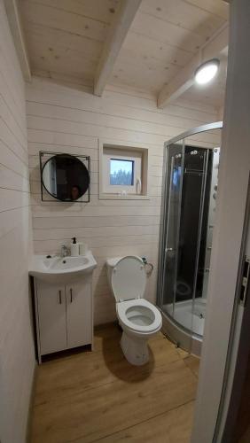 韦茨泽基斯韦斯基Farwne checze的浴室配有卫生间、盥洗盆和淋浴。