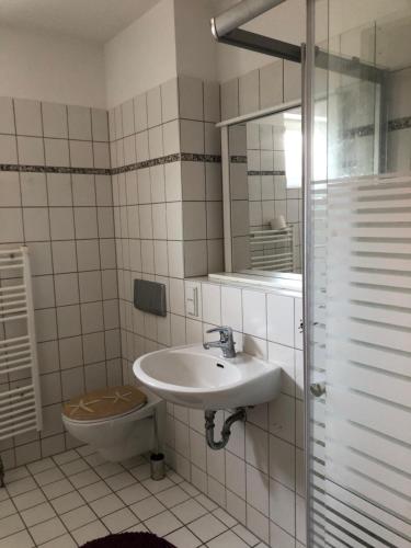 柏林Köpenick 43 mit WLAN的一间带水槽和卫生间的浴室
